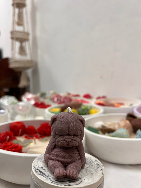 CandlePaw